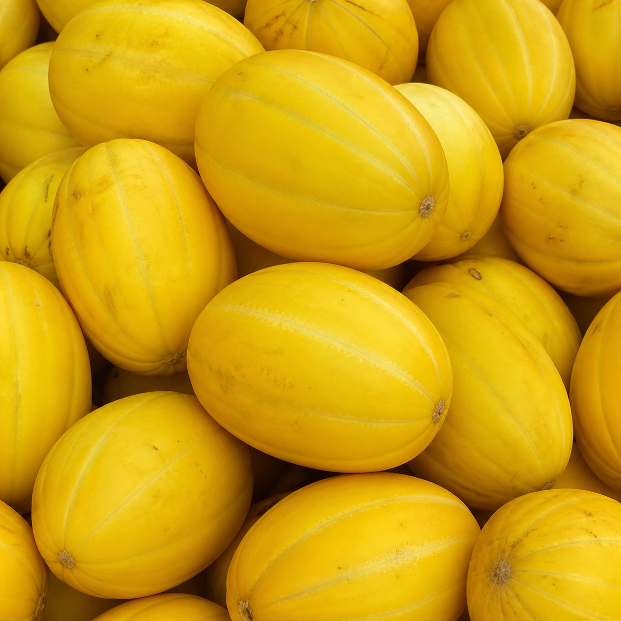 preço do melão amarelo
