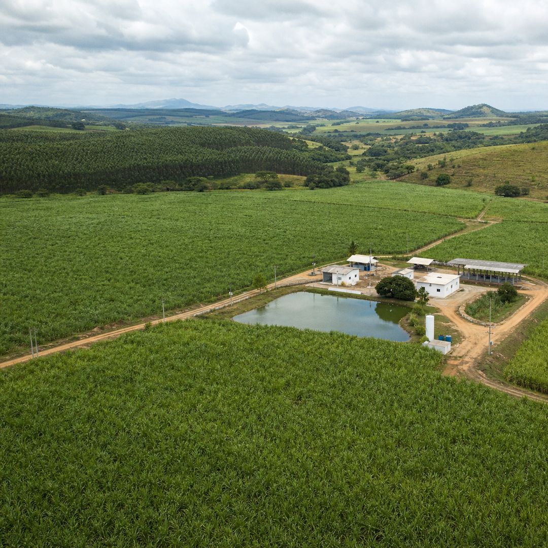 irrigação por gotejamento