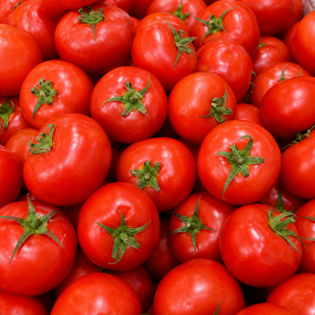 preço do tomate