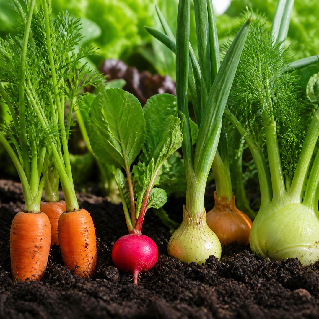 degradação do solo na agricultura