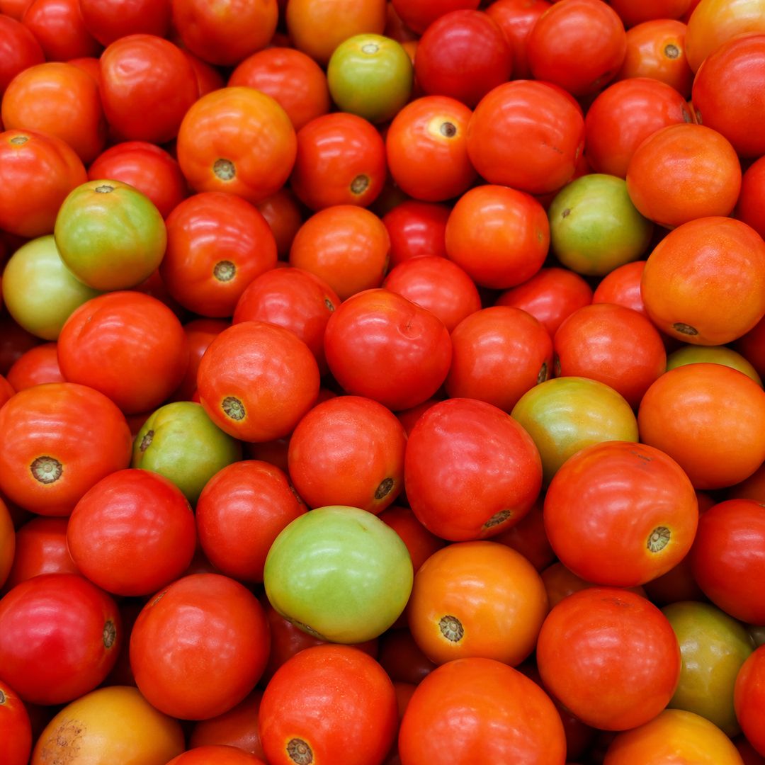 tomate em São Paulo