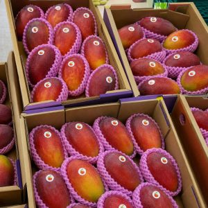 exportação de frutas