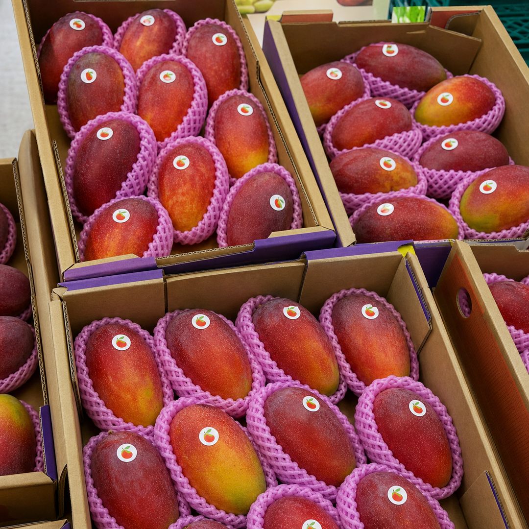exportação de frutas