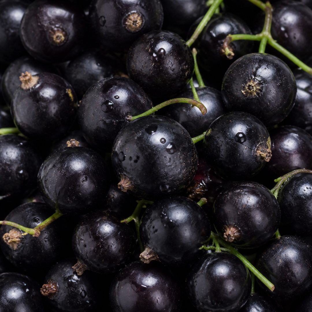 preço da jabuticaba